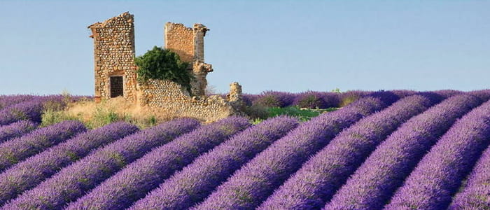 visite des calanques avec chauffeur à marseille